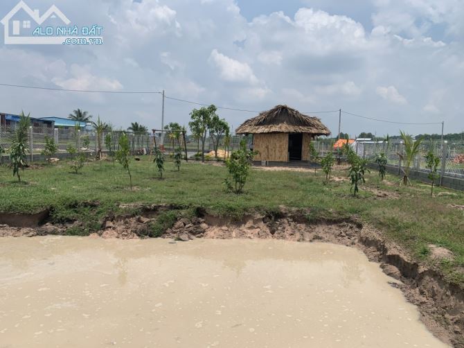 Bán đất Củ Chi, lô đất vườn 1 sẹc ngắn Tỉnh Lộ 7, 1.110m2, xã Trung Lập Hạ. - 2