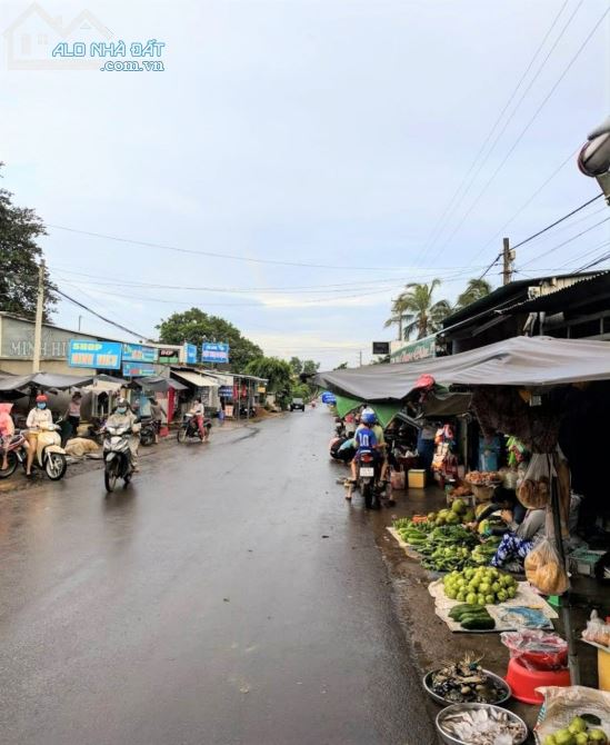 Bán vườn xoài 1007m2 (20*50), đường hiện hữu, gần trường, chợ, sổ sẵn. - 1