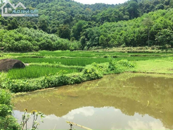 Chuyển nhượng 10ha đất RSX có suối chảy trong đất tại Hợp Đồng Kim Bôi