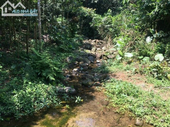 Chuyển nhượng 10ha đất RSX có suối chảy trong đất tại Hợp Đồng Kim Bôi - 2