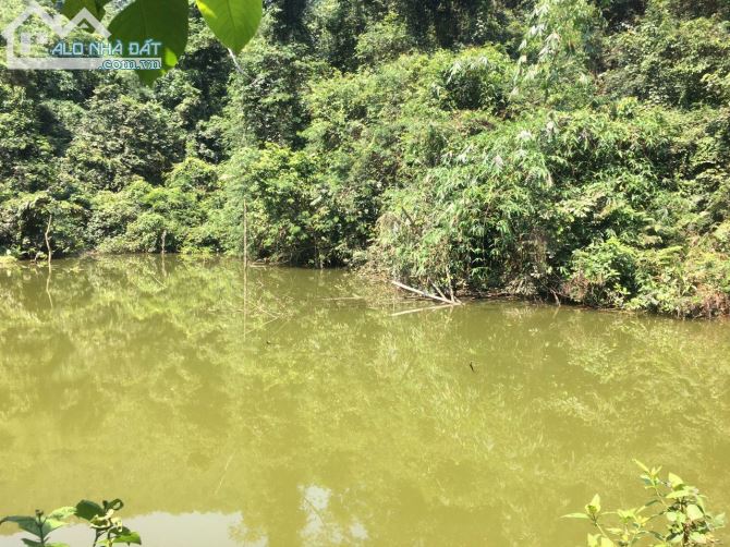 Chuyển nhượng 10ha đất RSX có suối chảy trong đất tại Hợp Đồng Kim Bôi - 3