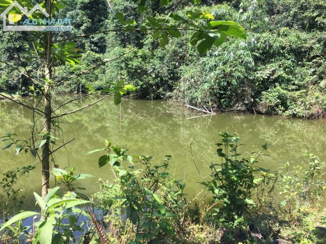 Chuyển nhượng 10ha đất RSX có suối chảy trong đất tại Hợp Đồng Kim Bôi - 5