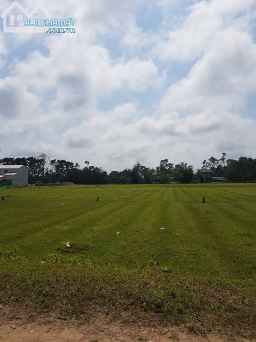 Bán Nhanh lô đất KQH Diêm Tụ, Phú Gia, Phú Vang. TT Huế - 1