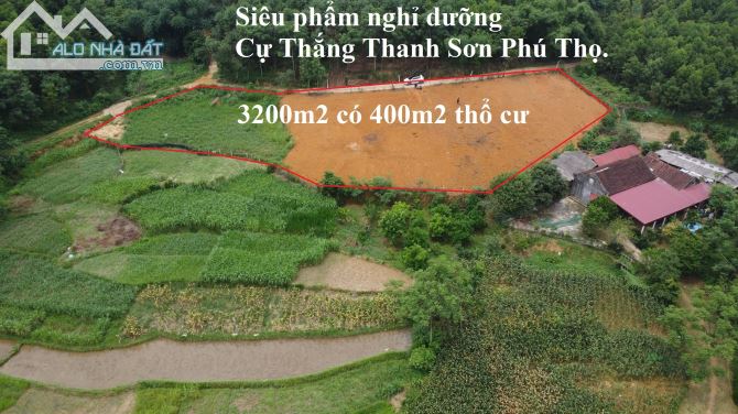 Siêu phẩm nghỉ dưỡng 3200m2 có 400m2 thổ cư xã Cự Thắng, Thanh Sơn, Phú Thọ - 2