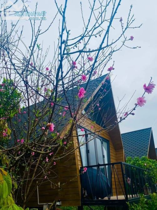 CHÍNH CHỦ GỬI BÁN RESORT MINI BÁM SUỐI ĐỐI DIỆN DỰ ÁN MƯỜNG KINH - 3