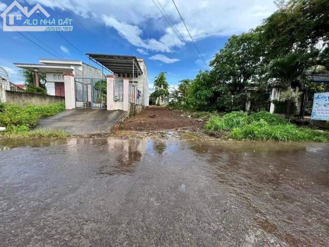 Bán lô đất 2 mặt tiền trước sau đường Trần nhân tông, Khánh Xuân, Buôn Ma Thuột - 2