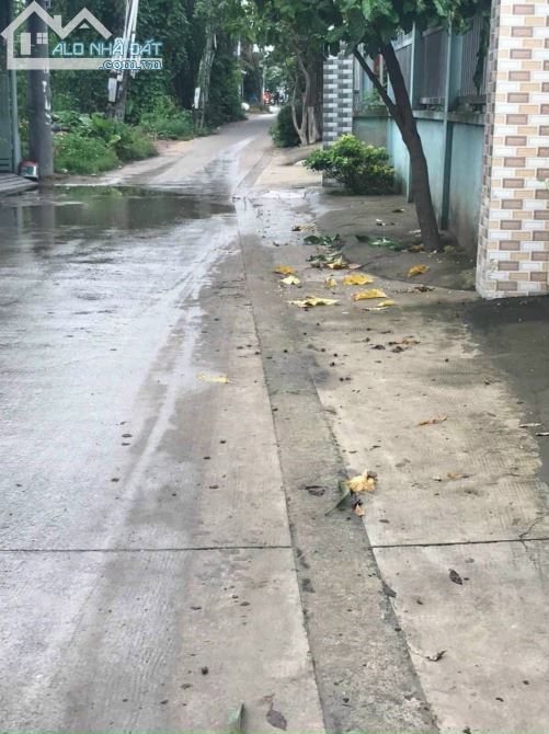 Bán Đất 215m Ngang 6.15m , Nhánh đường Bình Thung - TP Dĩ An - 1