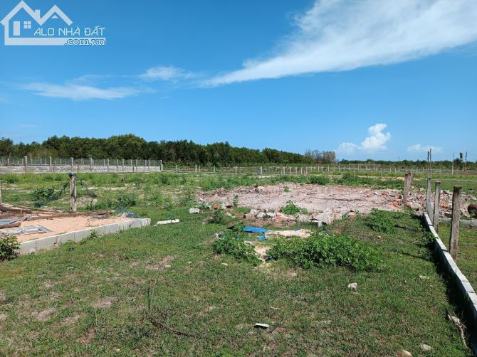 Chính chủ cần bán đất 2014m2 xã Tân Phước, Lagi, Bình Thuận - 2