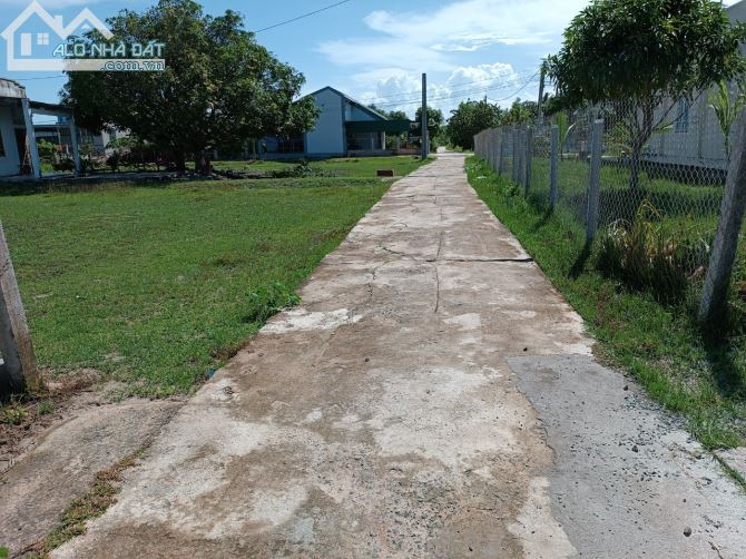 Chính chủ cần bán đất 2014m2 xã Tân Phước, Lagi, Bình Thuận - 3