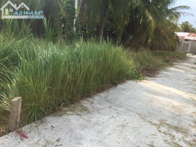 Bán 532m2 đất mỹ thạnh an quy hoạch cây lâu năm - 1