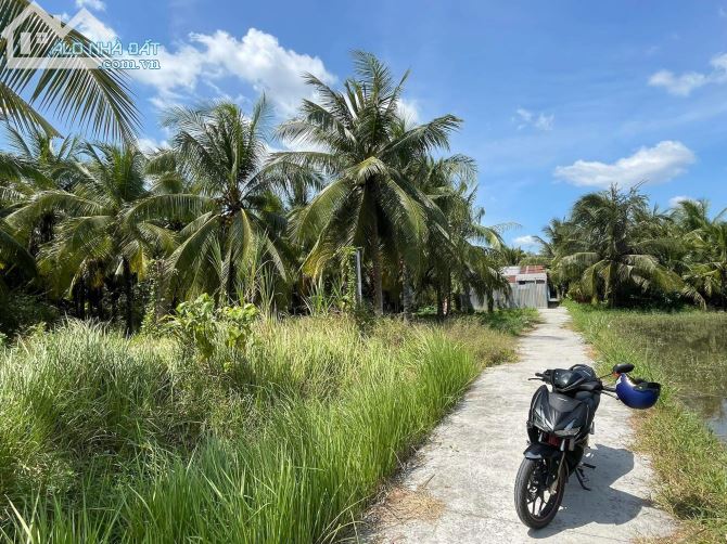 Bán 532m2 đất mỹ thạnh an quy hoạch cây lâu năm - 3
