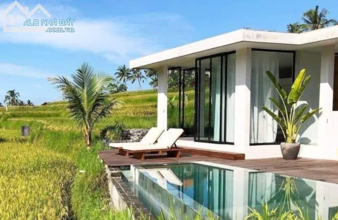 Đất đỏ bazan 1500m2, thổ cư sẵn, Chỉ 3.59 tỷ, ngay UBND Bàu Cạn