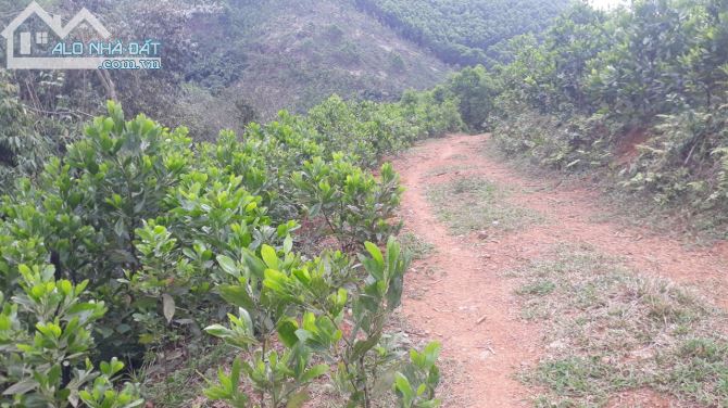 NHỈNH 40K/M2 LÔ ĐẤT RSX CÒN SÓT LẠI TẠI NAM THƯỢNG KIM BÔI - 2
