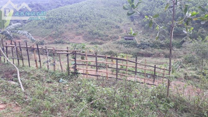NHỈNH 40K/M2 LÔ ĐẤT RSX CÒN SÓT LẠI TẠI NAM THƯỢNG KIM BÔI - 3