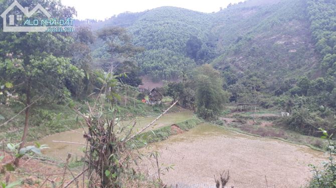 NHỈNH 40K/M2 LÔ ĐẤT RSX CÒN SÓT LẠI TẠI NAM THƯỢNG KIM BÔI - 4