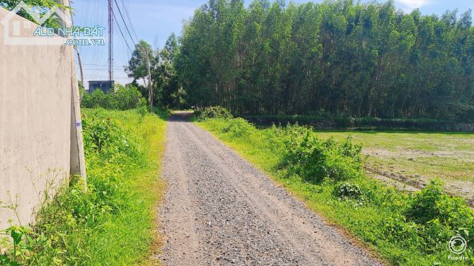 BÁN ĐẤT THỊ TRẤN ĐẤT ĐỎ BÀ RỊA VŨNG TÀU diện tích 710m giá 3,95 tỷ - 1