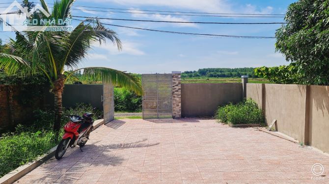 BÁN ĐẤT THỊ TRẤN ĐẤT ĐỎ BÀ RỊA VŨNG TÀU diện tích 710m giá 3,95 tỷ - 2