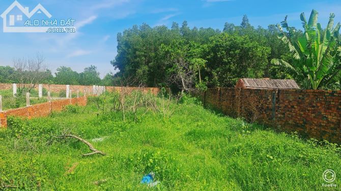 BÁN ĐẤT THỊ TRẤN ĐẤT ĐỎ BÀ RỊA VŨNG TÀU diện tích 710m giá 3,95 tỷ - 3