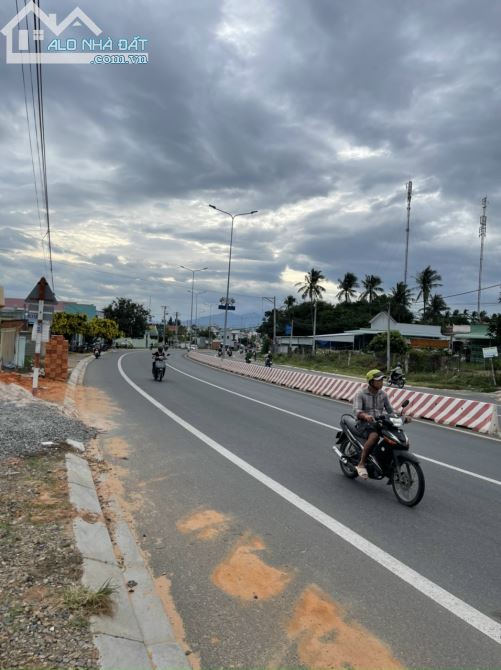 Cần Bán 939m2 2 Mặt Tiền Đường Nguyễn Thông Thuộc Phường Phú Hài Thành Phố Phan Thiết - 3