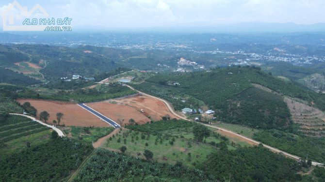 Đất nghỉ dưỡng view đẹp 1163m²  chỉ 966tr. Cách trung tâm Bảo Lộc 10p - 4