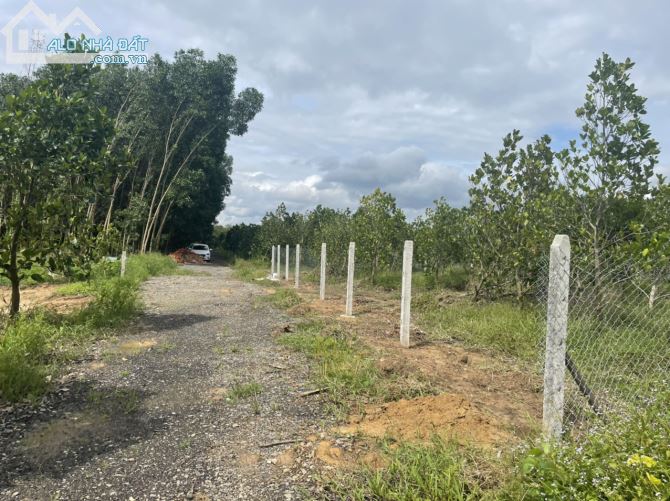 Đất Vườn MÍt - Thanh Sơn - Định Quán - Sổ riêng từng 1027m2 - 1