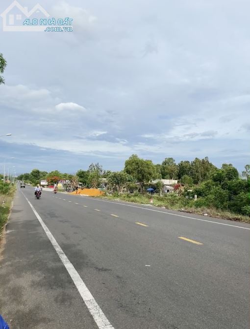 Cần Bán Gấp 16000m2 Mt Nguyễn Thông Trục Chính Gần Làng Chài Phú Hài Thành Phố Phan Thiết
