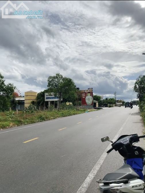 Cần Bán Gấp 16000m2 Mt Nguyễn Thông Trục Chính Gần Làng Chài Phú Hài Thành Phố Phan Thiết - 1