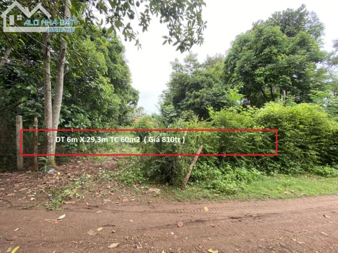 Bán đất thôn 10 xã Eatieu huyện Cưkuin- Daklak ( cách QL 27 chỉ 100m) - 5