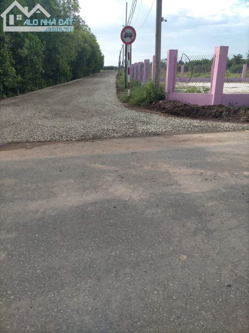 403m2 Ngay Sân Bay Lộc An Cách Biển 3km GIÁ 2,5 TỶ - 3