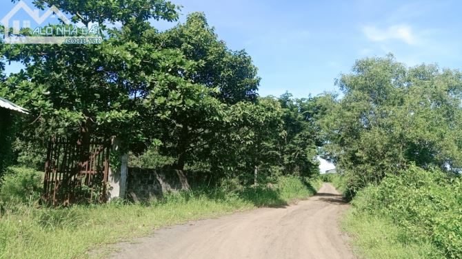 Bán gấp đất Bông Trang, Xuyên Mộc, Bà Rịa Vũng Tàu,240.000m, Trang Trại, resot, giá 210 tỷ - 1