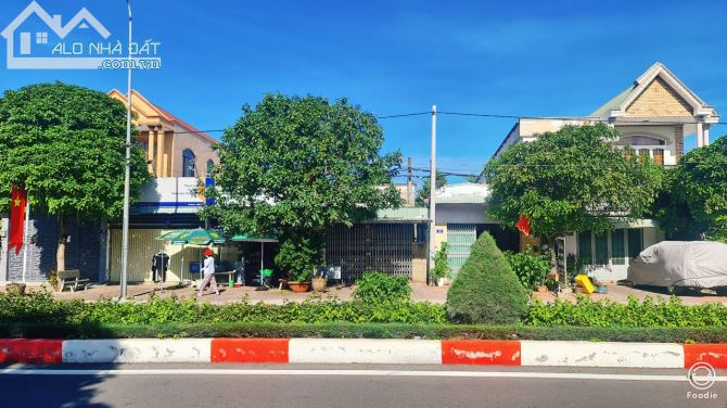 BÁN ĐẤT THỊ TRẤN LONG ĐIỀN BÀ RỊA VŨNG TÀU mặt tiền trần xuân độ rộng 25m - 3