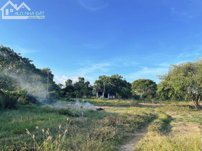 Cần Bán Đất View Biển Mt Hàn Mạc Tử 4500m2 Có 150 Thổ cư Phường Phú Hài Phan Thiết - 3