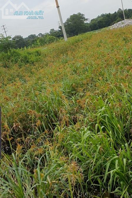 Cty cần bán 2,1 ha đất sxkd hai mặt đường, chỉ 2,5 tr/m2 - 1