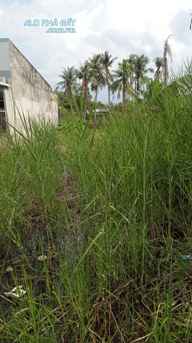 Cần bán đất mặt tiền đường hẻm dal lia thuộc khóm 1 phường 1 TP Trà Vinh - 1