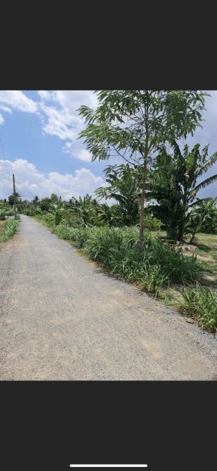 Bán 1284m2 đất vườn , đường bê tông xe hơi đến đất. Vị trí tiềm năng và đắc địa. Giá 4,8 - 2