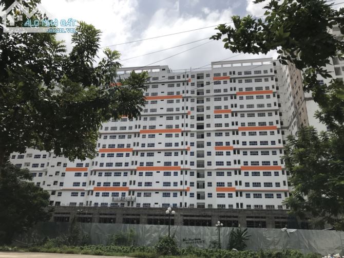 Bán đất Lô 34 dự án Springtown, Phường Phước Long B, 12,5 x 20 = 248m2. Gía:17.5 tỷ - 4