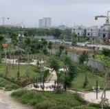 Gia Đình Vào Nam Cần Bán Gấp Lô Đất Dịch Vụ Vân Canh 60m2, Giá Rẻ Nhất Thị Trường - 2