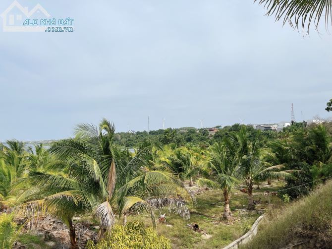 Cần Bán 10000m2 Sát Bàu Trắng View Cực Đẹp MT 180m Huyện Bắc Bình Tỉnh Bình Thuận - 4