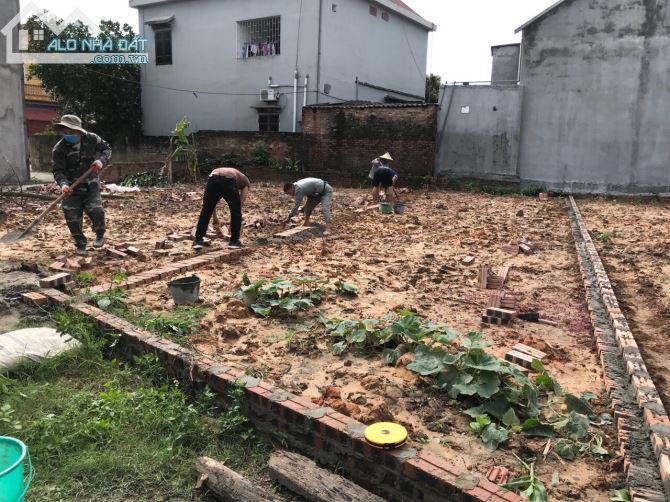 Chủ nhà nhờ bán lô đất 76.6m tại Tân Lương, Hiền Ninh, Sóc Sơn giá công nhân - 1