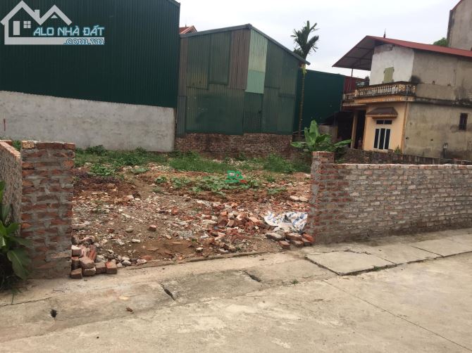 Bán đất đấu giá Ngọc Chi Vĩnh Ngọc Đông Anh 145m giá rẻ - 2