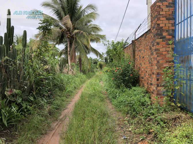 Bán đất vườn xã Trà Cổ huyện Tân Phú tỉnh Đồng Nai