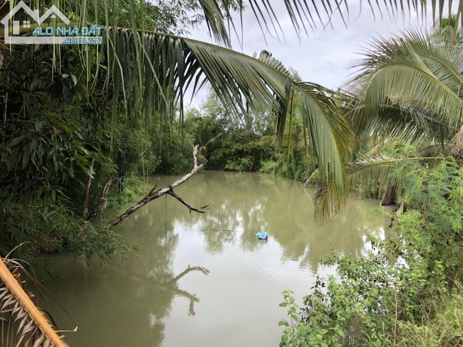Bán đất vườn xã Trà Cổ huyện Tân Phú tỉnh Đồng Nai - 2
