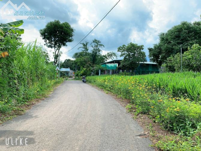 Bán khoảng 4 sào (4000m2) đất Bàu Chinh, huyện Châu Đức, BRVT. - 5