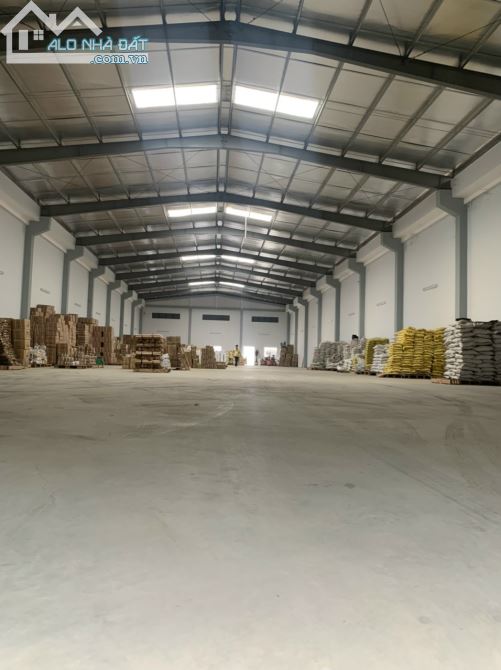 Cho thuê kho xưởng 1000m, 1400m2, 2400m2, đường Đoàn Nguyễn Tấn, xã Hưng Long, Bình Chánh