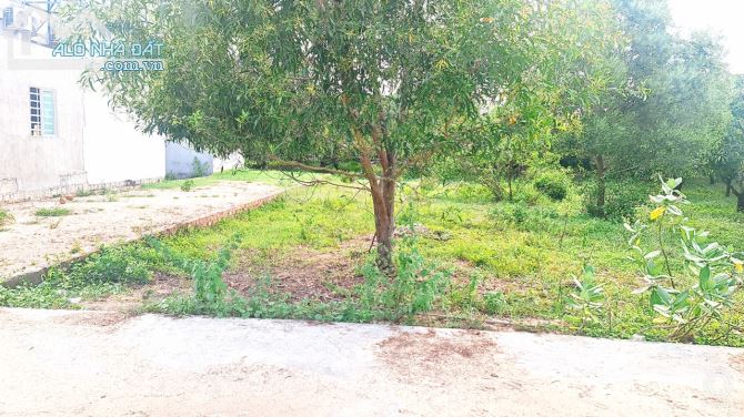 BÁN ĐẤT PHƯỚC HƯNG LONG ĐIỀN BÀ RỊA VŨNG TÀU DIỆN TÍCH 121m - 3
