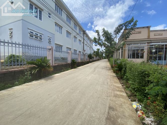 D713 Bán đất tặng nhà cấp 4 MT đường G thôn 2 xã Cư Êbur TP Buôn Ma Thuột- Daklak - 5