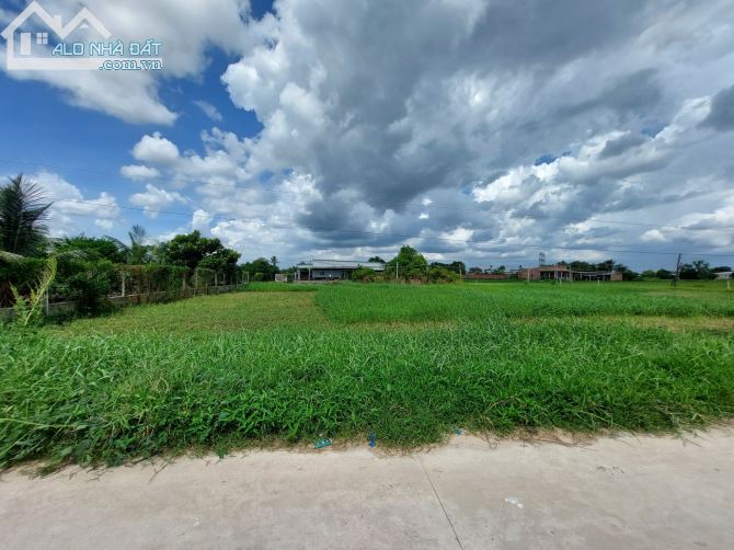 Bán đất  thổ cư ,18 x 42.5m, giá chỉ 6 tỷ 500 triệu, xã Đức Hòa Thượng, Đức Hòa, Long An . - 4