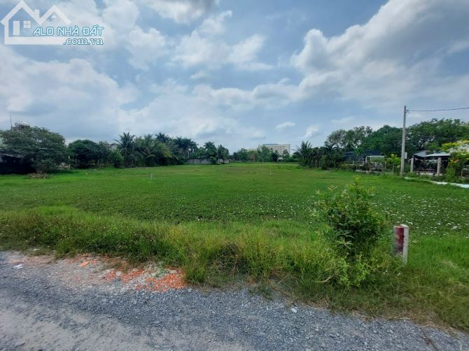 bán đất 12.3x 67.8m (849m2)  gần Bệnh viện Xuyên Á thị trấn Hậu Nghĩa, Đức Hòa giá 5.5 tỷ - 3