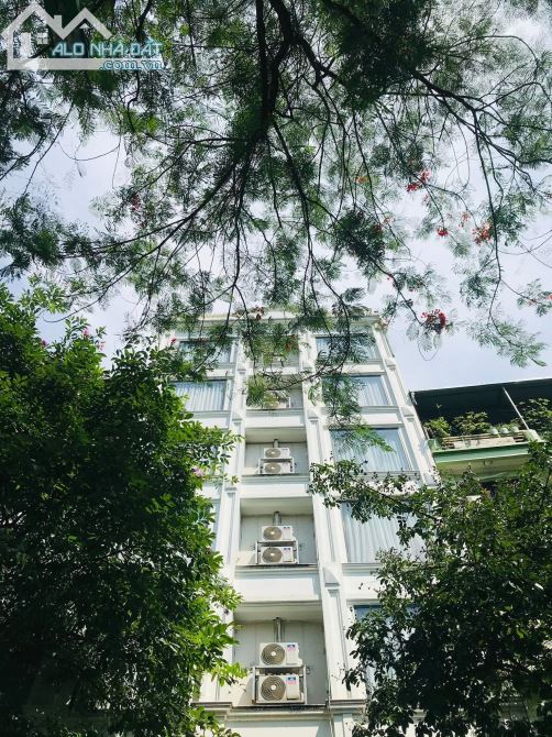 Mặt Phố Quan Hoa 70m2*8 Vỉa Hè Thang Máy Mặt Tiền 8,5m KD Giá 39.5 tỷ.