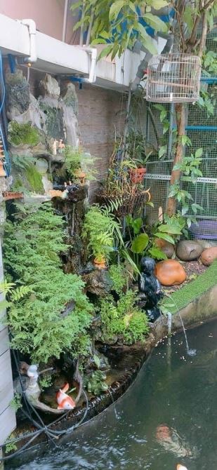 Cho Thuê Biệt Thự Đẹp Nguyễn Thái Bình, P12, Q.TB, DT: 12x25m, 3 lầu, sân vườn, hầm 1T3L - 4